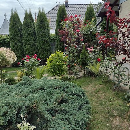 Casa Mamei Sučava Pokoj fotografie