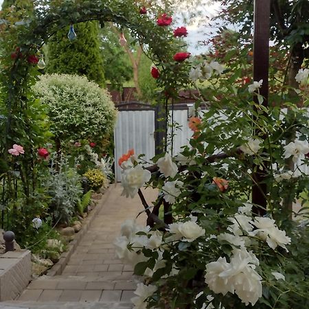 Casa Mamei Sučava Exteriér fotografie