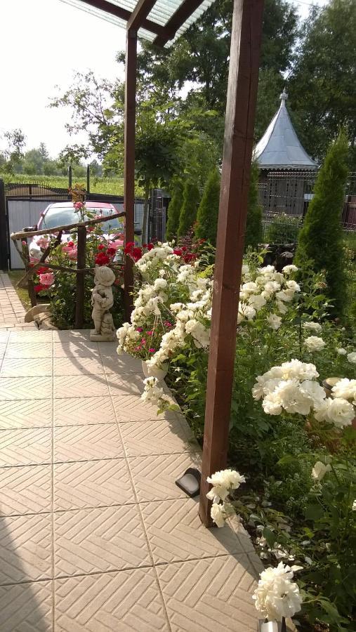 Casa Mamei Sučava Exteriér fotografie