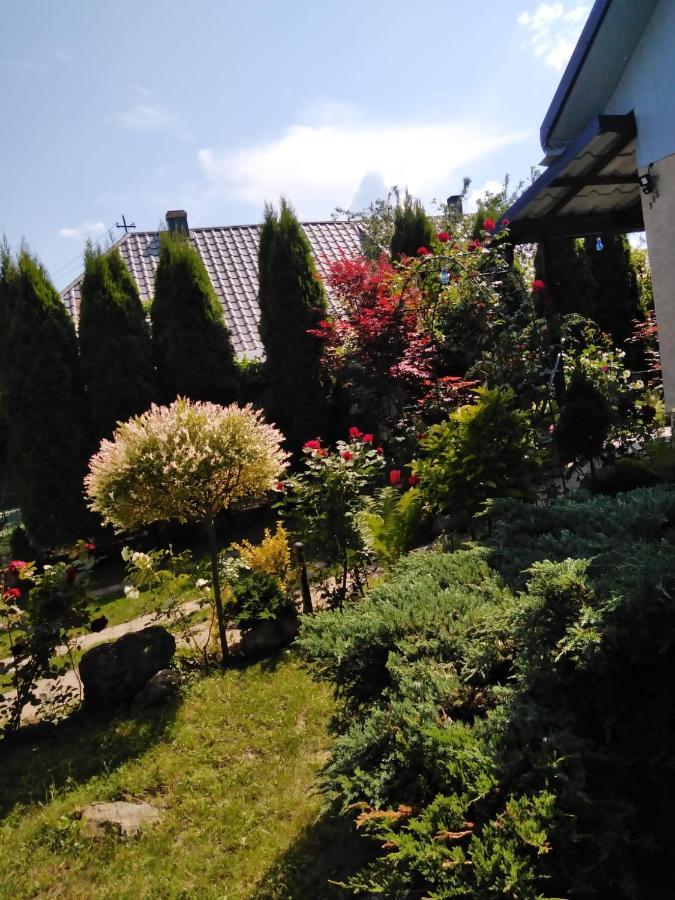 Casa Mamei Sučava Exteriér fotografie