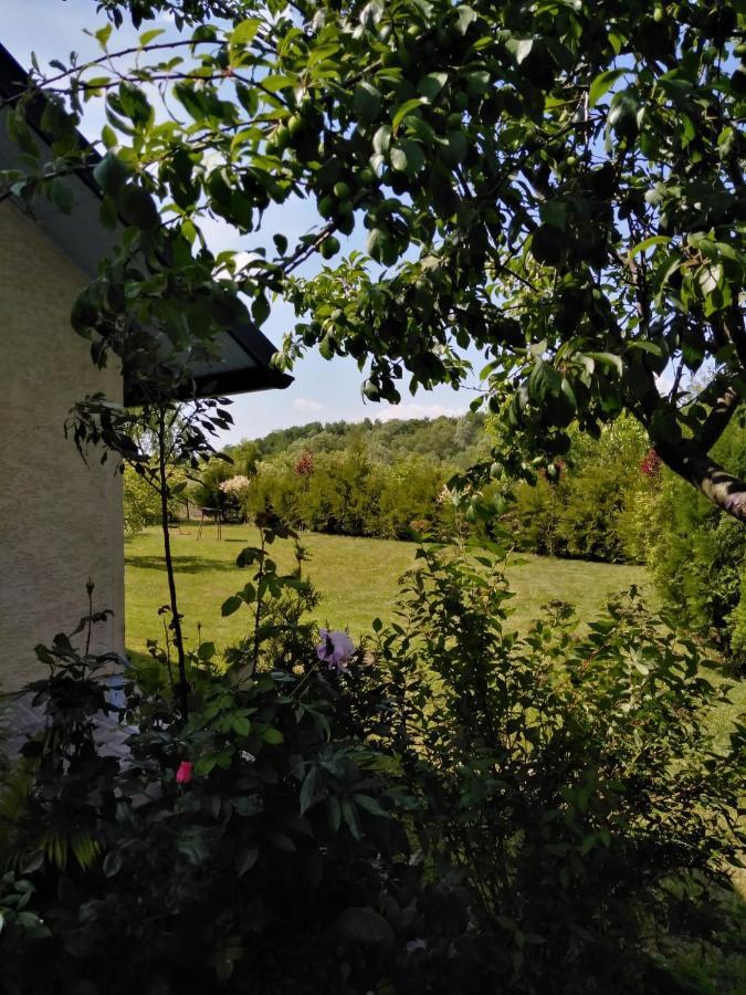 Casa Mamei Sučava Exteriér fotografie