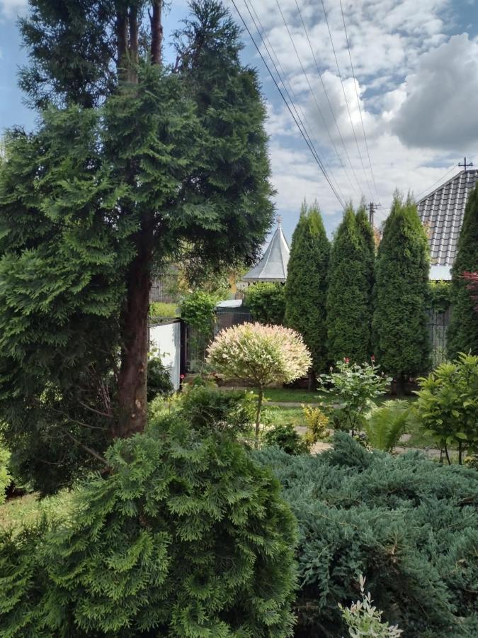 Casa Mamei Sučava Exteriér fotografie