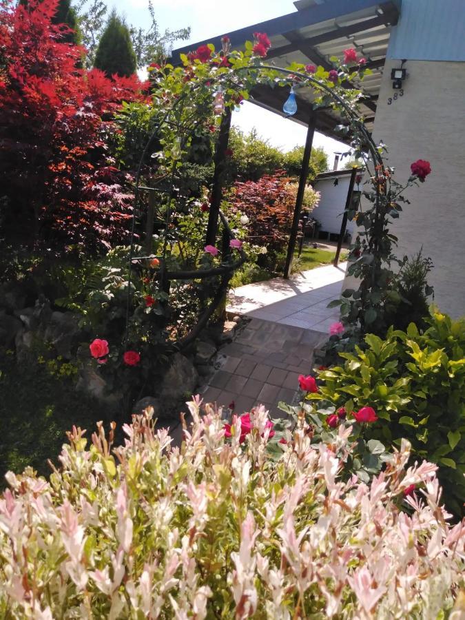 Casa Mamei Sučava Exteriér fotografie