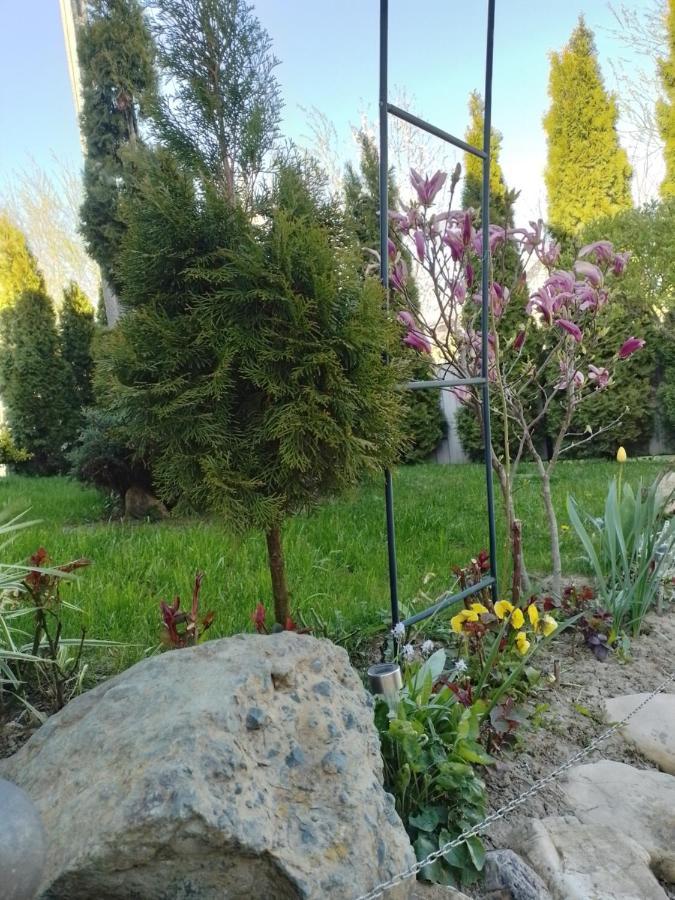 Casa Mamei Sučava Exteriér fotografie