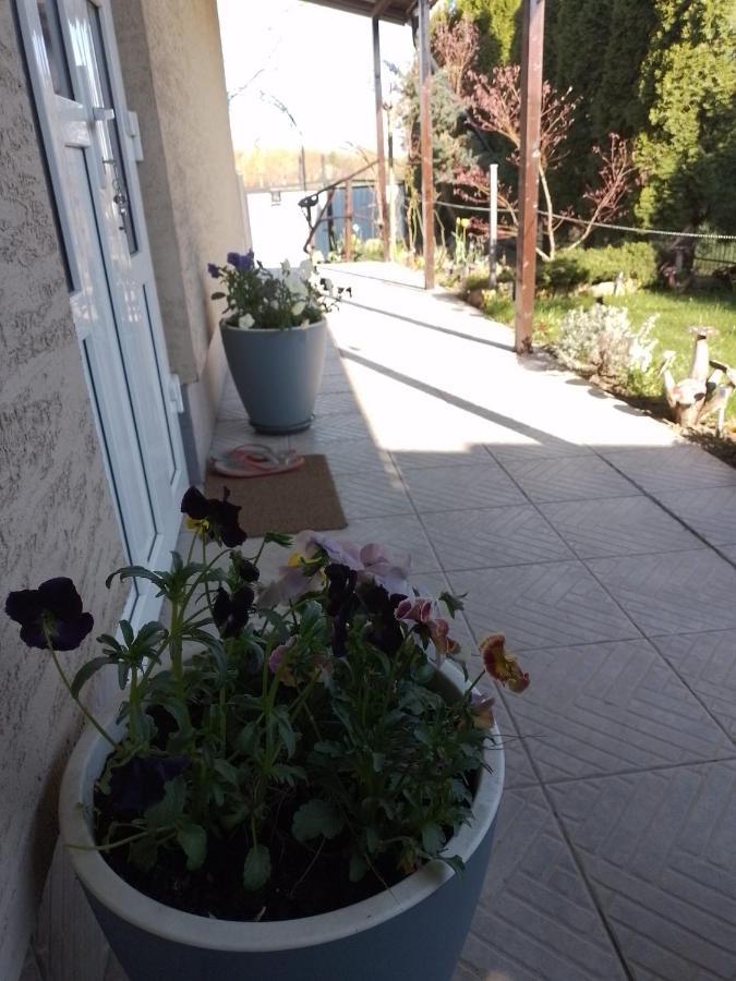 Casa Mamei Sučava Exteriér fotografie