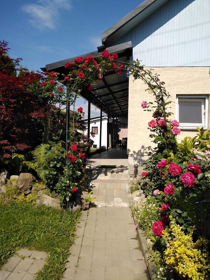 Casa Mamei Sučava Exteriér fotografie
