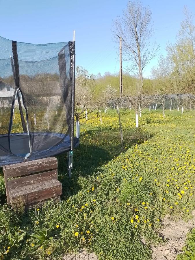 Casa Mamei Sučava Exteriér fotografie