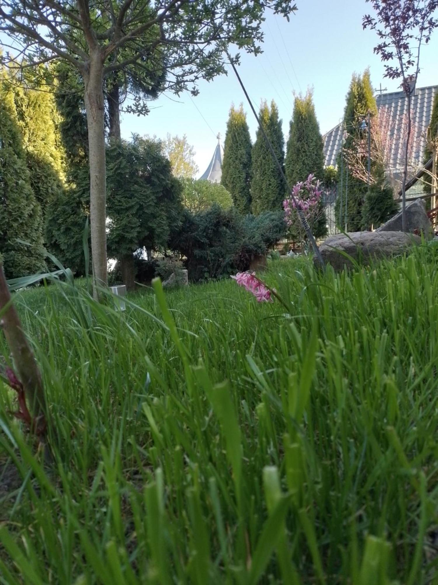Casa Mamei Sučava Pokoj fotografie
