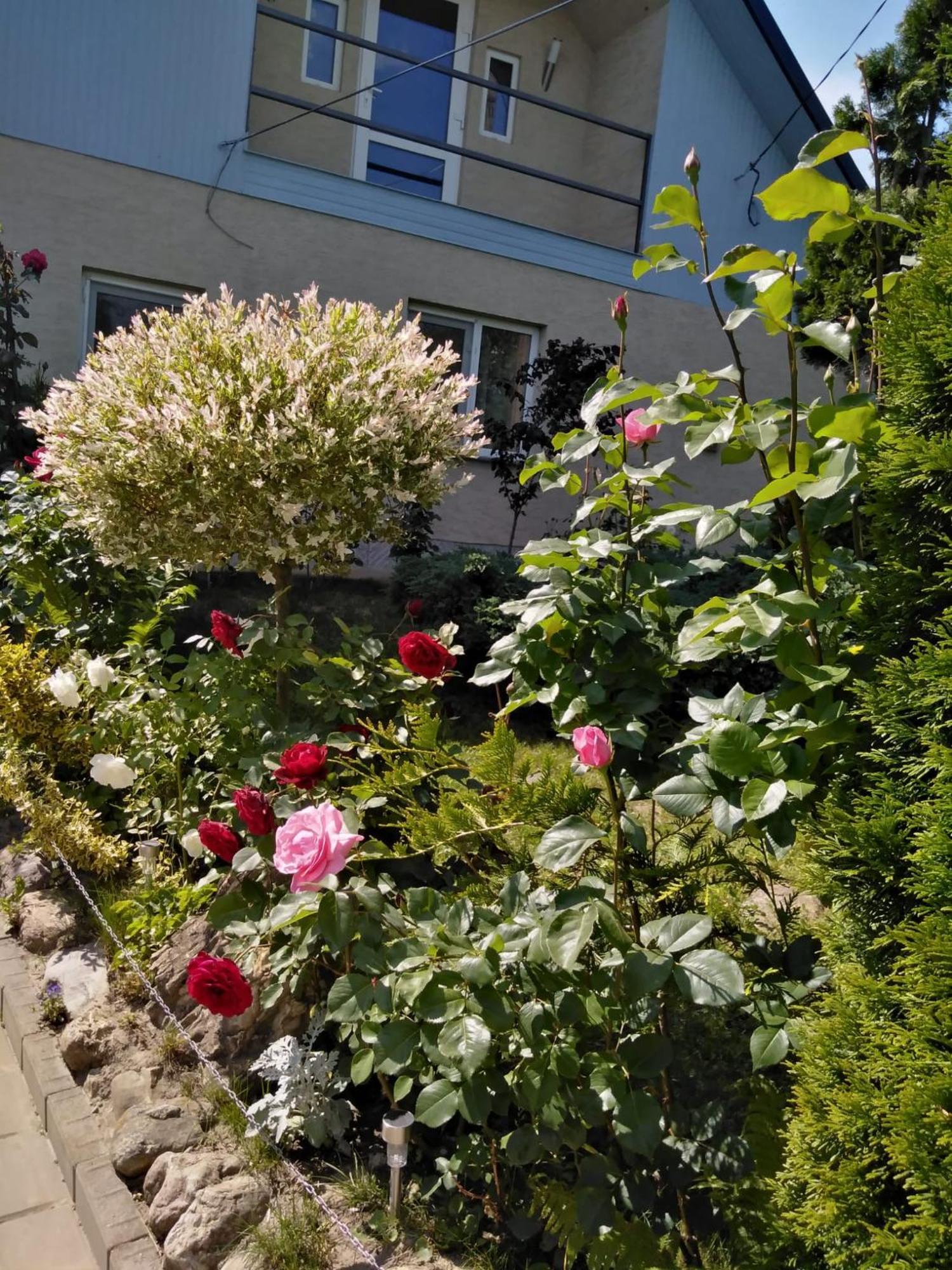 Casa Mamei Sučava Pokoj fotografie