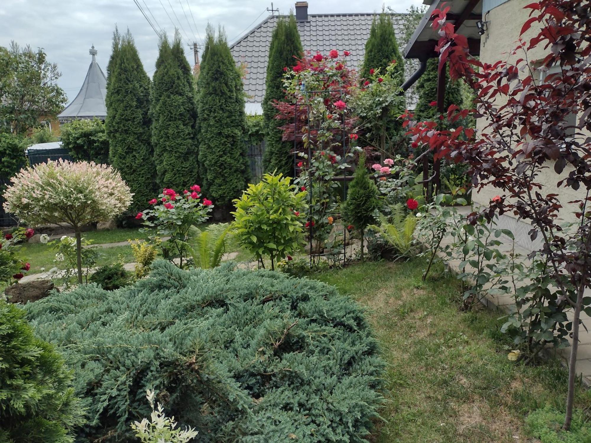 Casa Mamei Sučava Pokoj fotografie