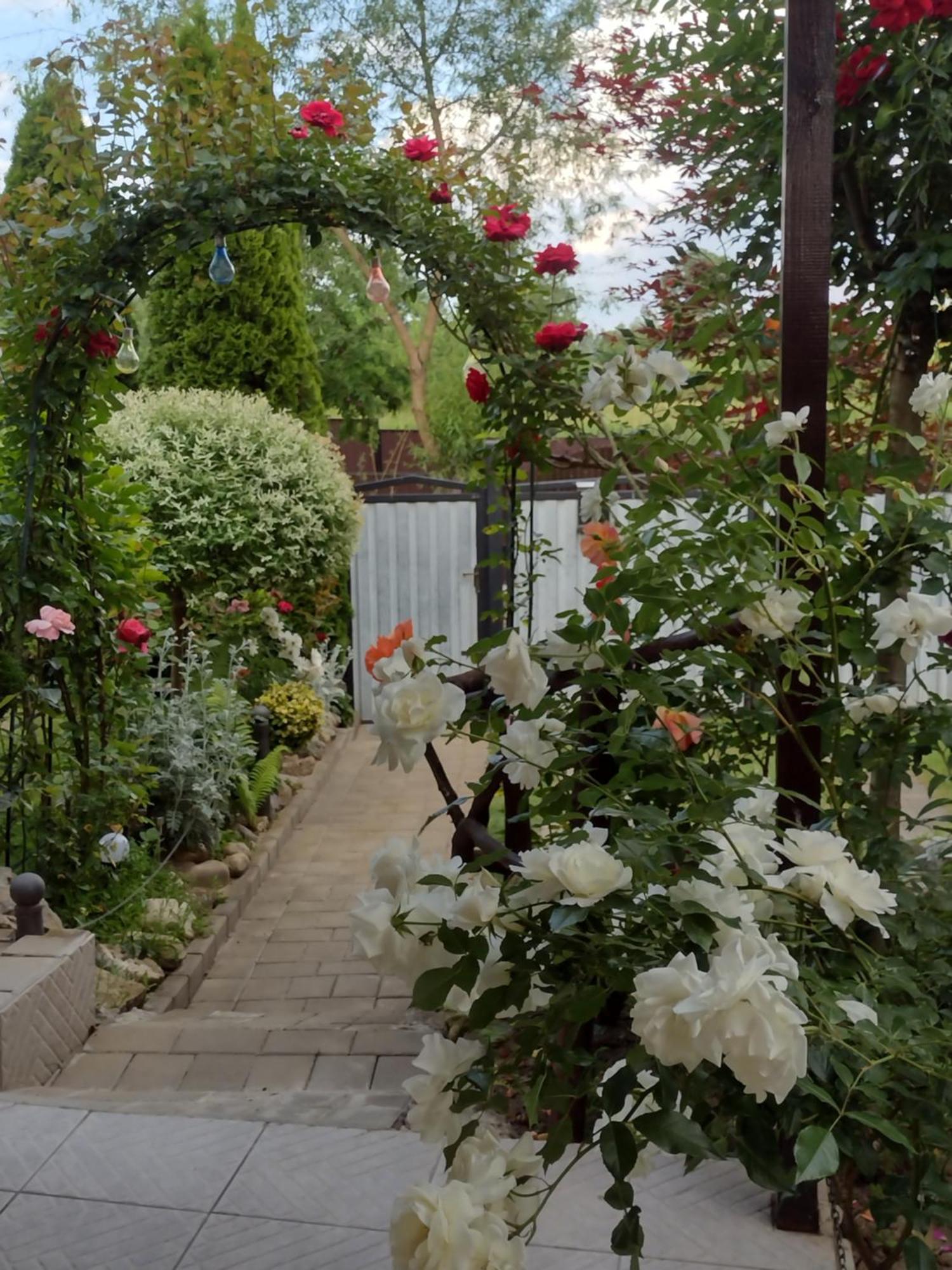 Casa Mamei Sučava Exteriér fotografie