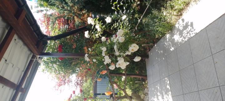 Casa Mamei Sučava Exteriér fotografie