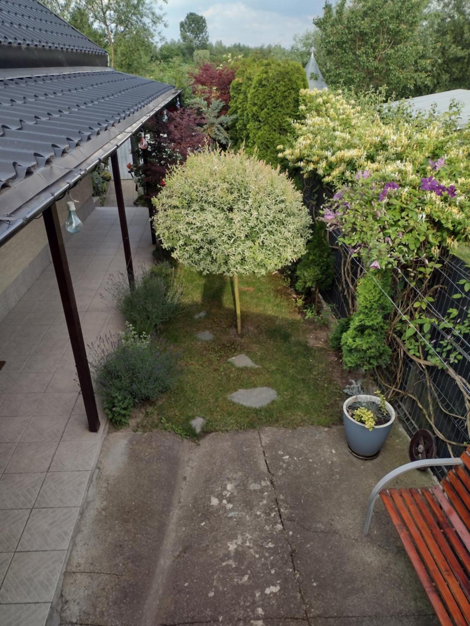 Casa Mamei Sučava Exteriér fotografie